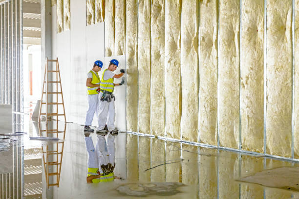 Types of Insulation We Offer in Edgewood, PA
